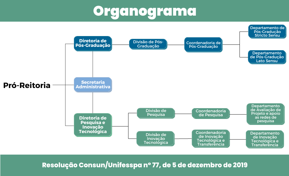 Organograma Site